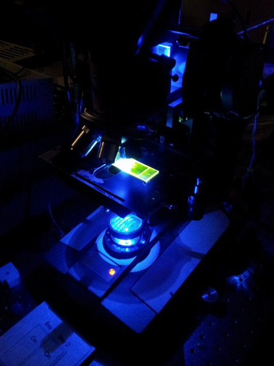 fluorescence photobleaching recovery apparatus (a.k.a. fluorescence recovery after photobleaching, a.k.a. FRAP)