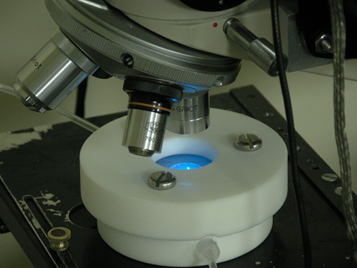 dialysis cell for FPR or FRAP used to study Alzheimer's disease