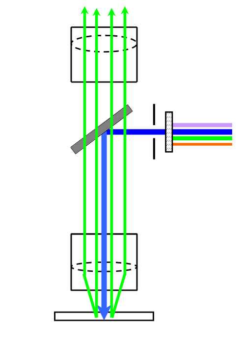inverted fluorescence microscope diagram